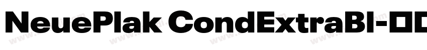 NeuePlak CondExtraBl字体转换